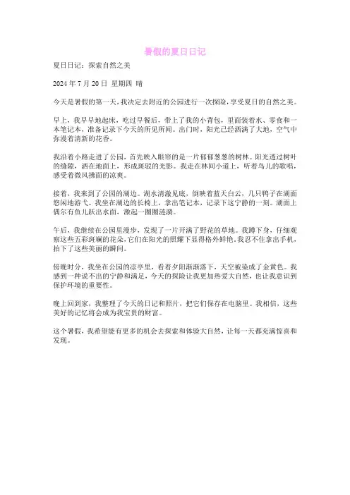 暑假的夏日日记