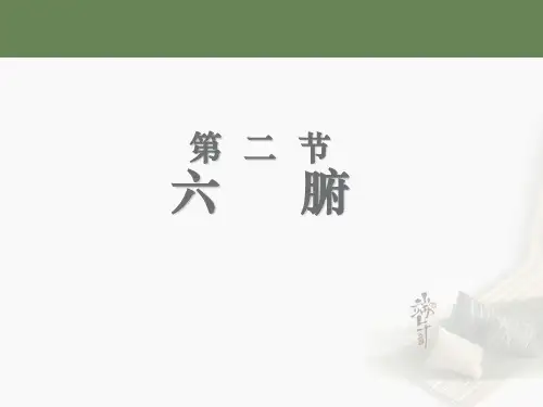 中基-藏象-六腑  ppt课件