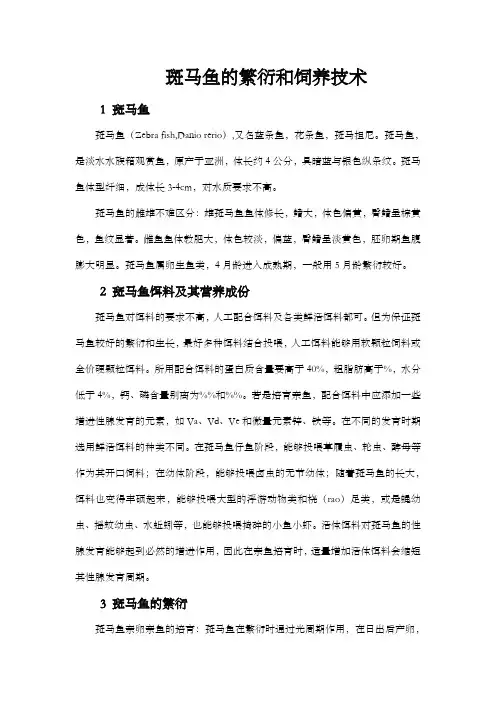 斑马鱼的繁衍和饲养技术