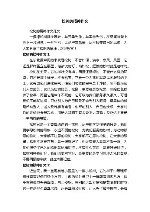 松树的精神作文范文