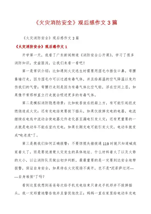 《火灾消防安全》观后感作文3篇