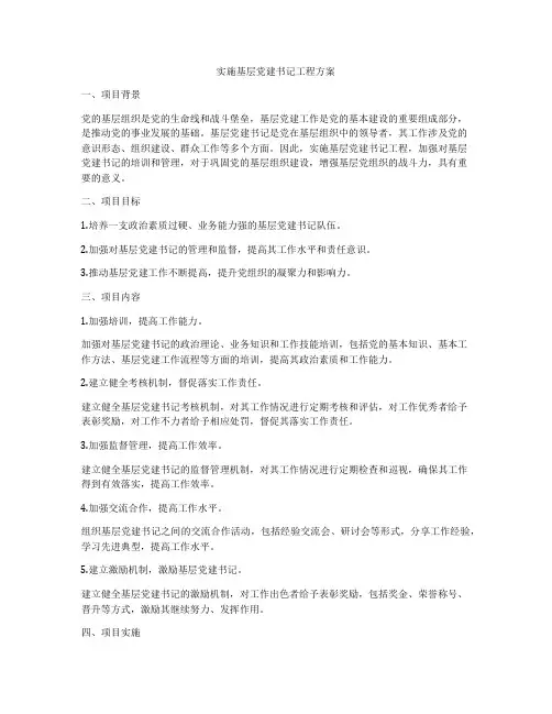 实施基层党建书记工程方案