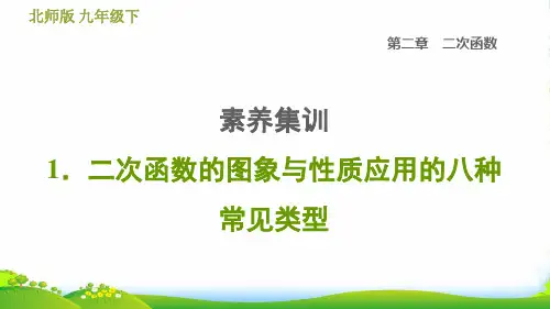 九年级数学下册 第二章 二次函数素养集训 1二次函数的图象与性质应用的八种常见类型习