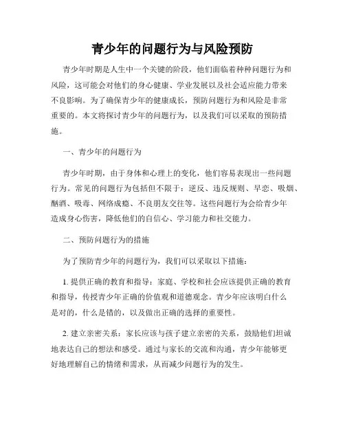 青少年的问题行为与风险预防
