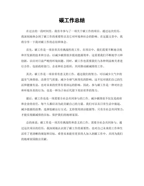 碳工作总结