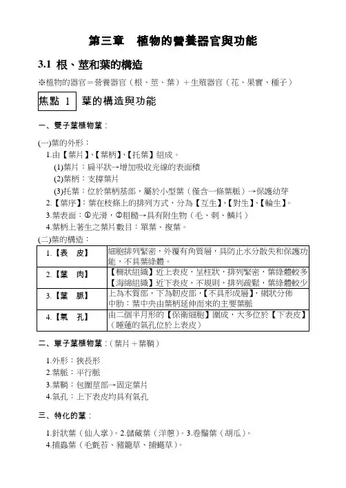 植物的营养器官与功能
