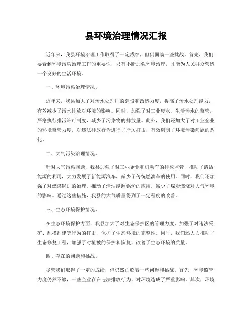 县环境治理情况汇报