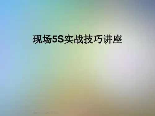 现场5S实战技巧讲座