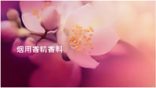 烟用香精香料 26页-高清