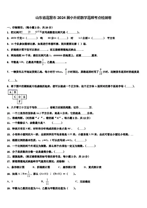 山东省高密市2024届小升初数学高频考点检测卷含解析