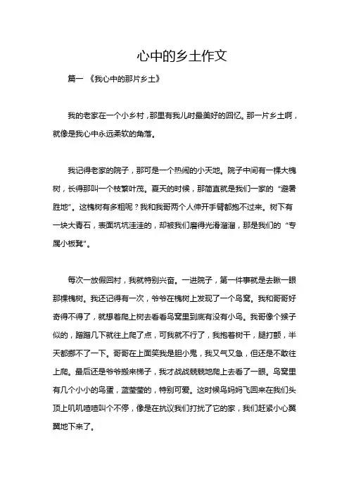 心中的乡土作文