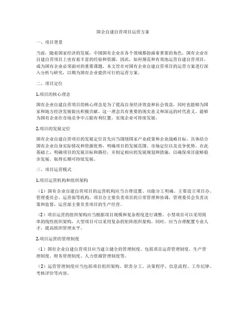 国企自建自营项目运营方案