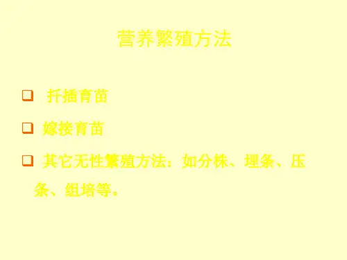 营养苗的培育PPT课件