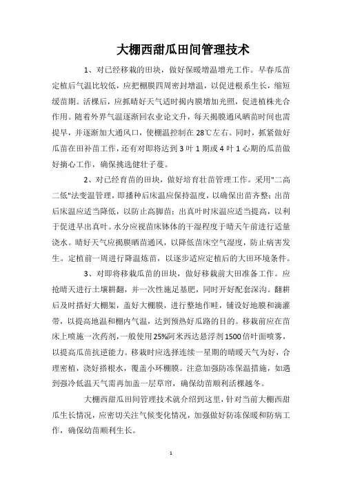 大棚西甜瓜田间管理技术