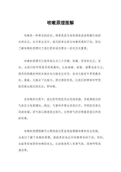 咳嗽原理图解
