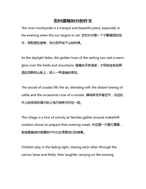 农村傍晚时分的作文