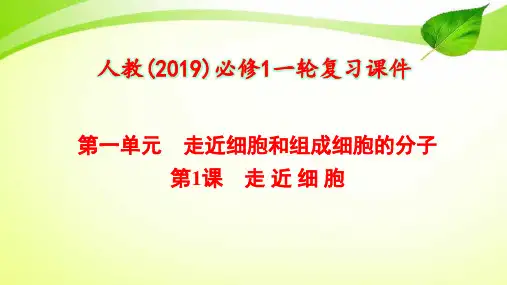 1-1 走近细胞【人教(2019)必修1一轮复习课件】