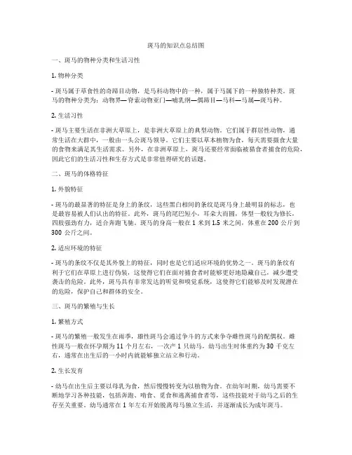 斑马的知识点总结图