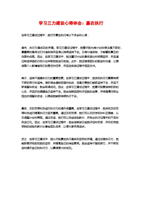 学习三力建设心得体会：赢在执行