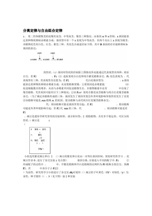 分离定律和自由组合定律 专项练习