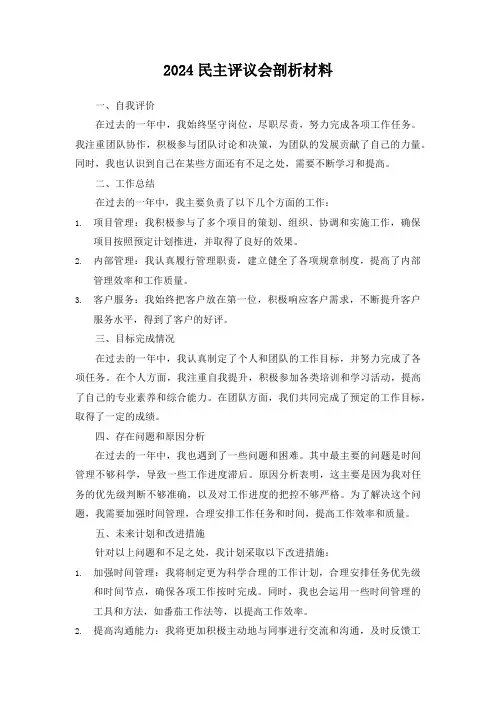 2024民主评议会剖析材料