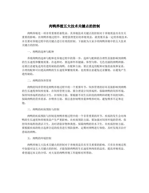 肉鸭养殖五大技术关键点的控制