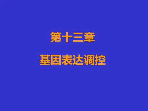 生物化学：基因表达调控原理