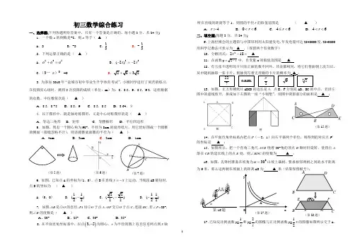 初三数学综合练习 有答案