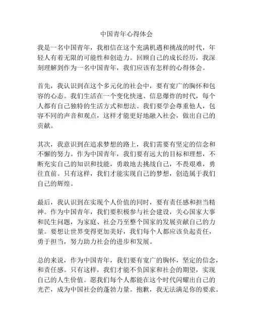 中国青年心得体会