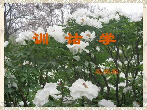 1.训诂与训诂学