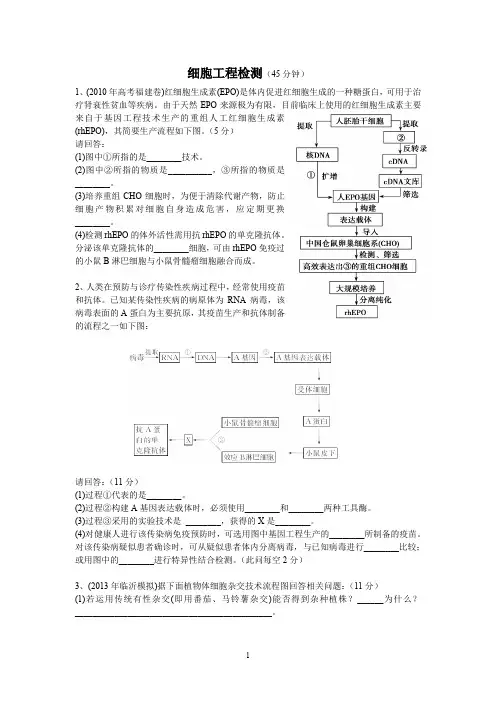 细胞工程检测题及答案