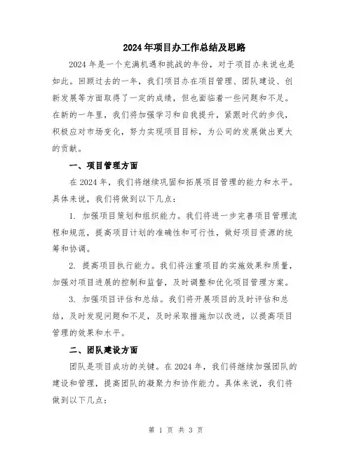 2024年项目办工作总结及思路