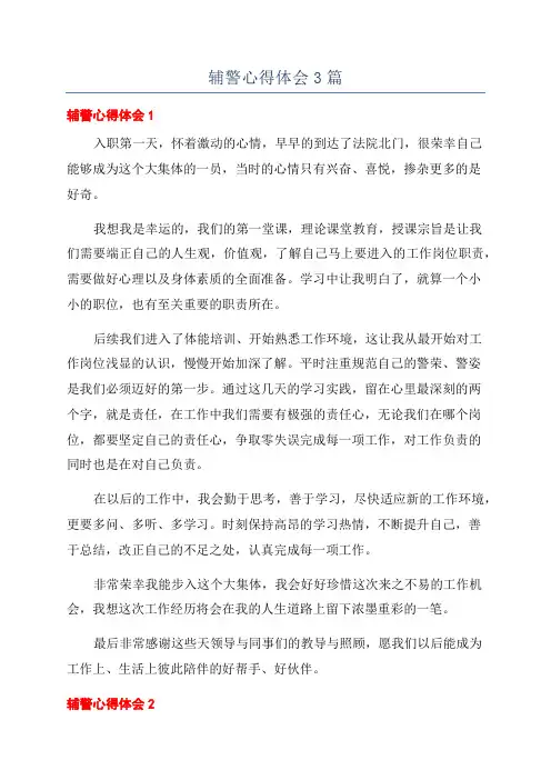 辅警心得体会3篇