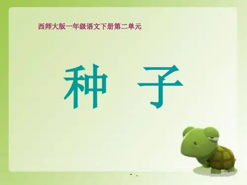 《种子》PPT课件