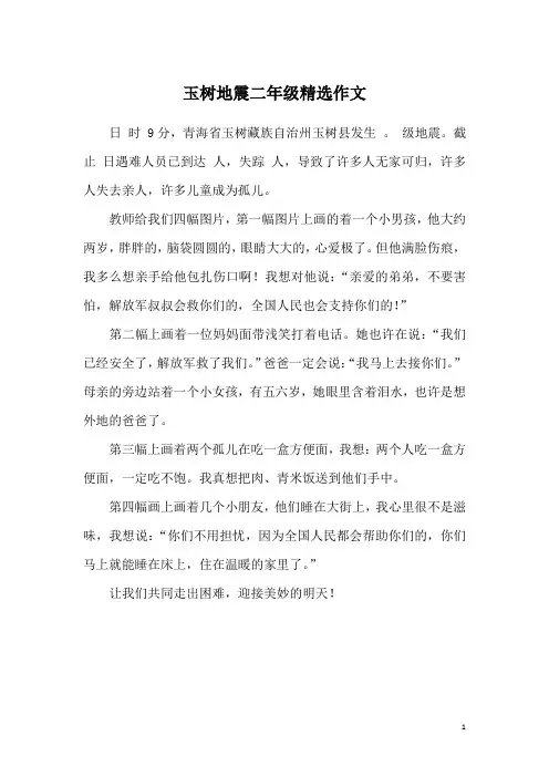 玉树地震二年级精选作文