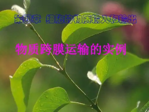 高中生物必修(共27张PPT)