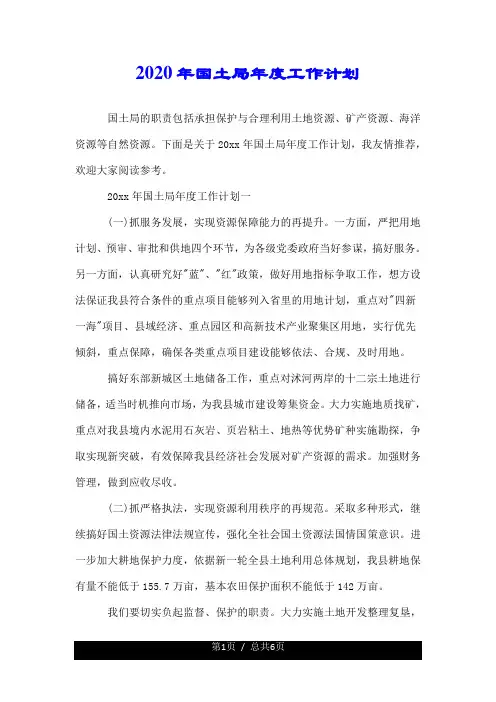 2020年国土局年度工作计划.doc