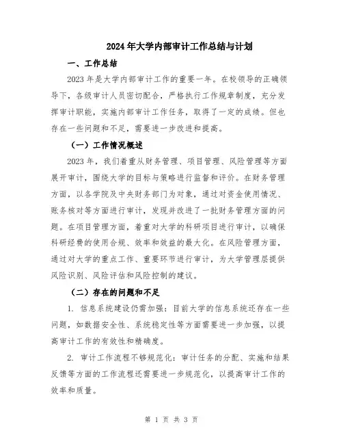 2024年大学内部审计工作总结与计划