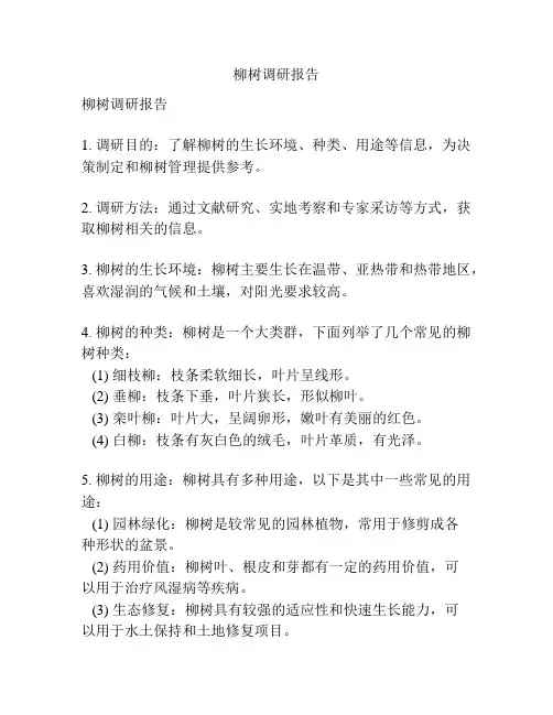 柳树调研报告
