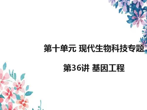 高考生物一轮复习1：第36讲 基因工程优质课件