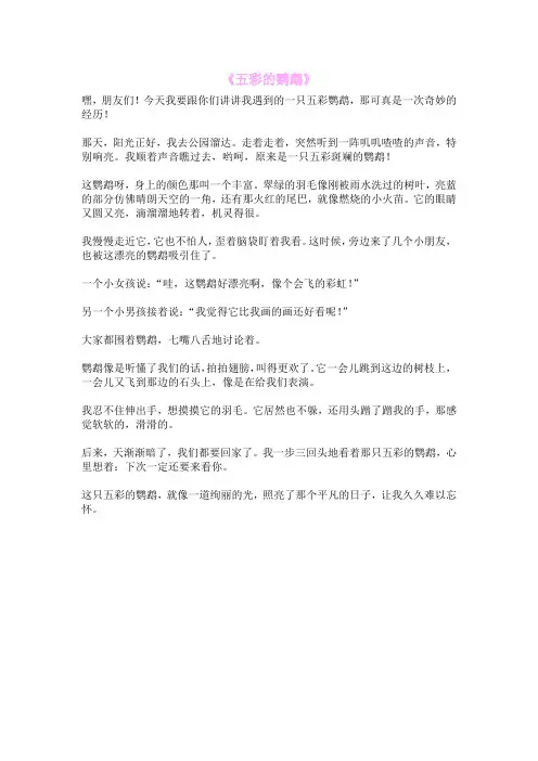 《五彩的鹦鹉》