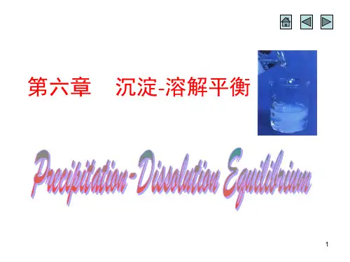 大学化学 第六章沉淀溶解平衡课件