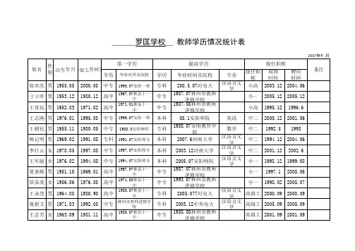 教师基本情况统计表样表