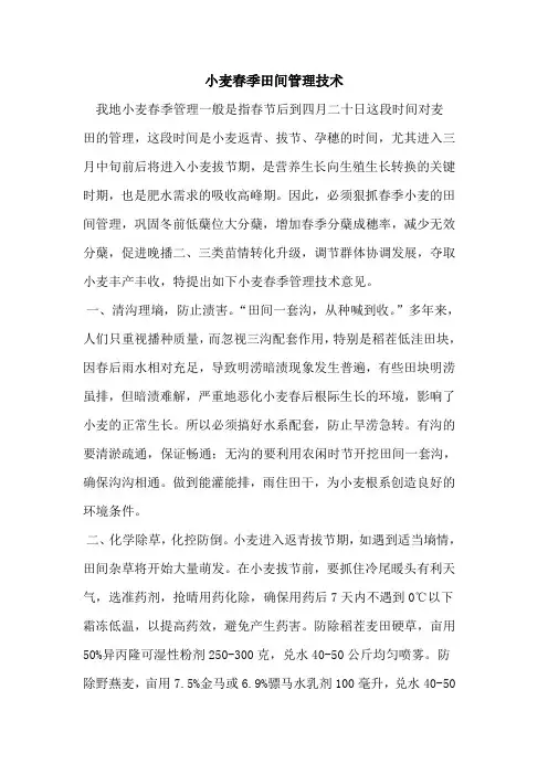 小麦春季田间管理技术