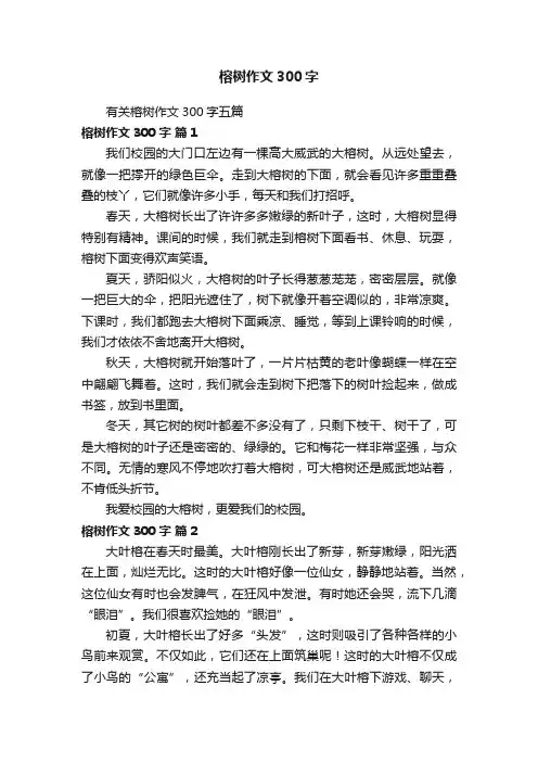 有关榕树作文300字五篇