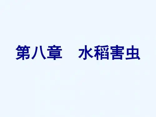 第八章水稻害虫∮12钻虫