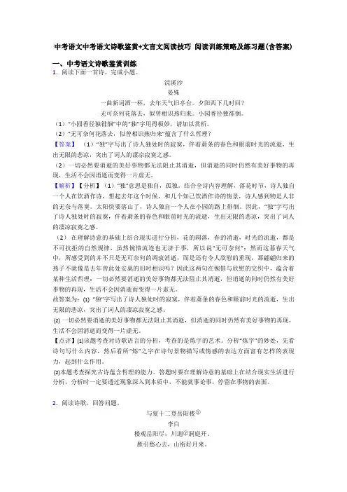 中考语文中考语文诗歌鉴赏+文言文阅读技巧 阅读训练策略及练习题(含答案)