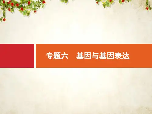 2020高考生物二轮课件：专题六 基因与基因表达 