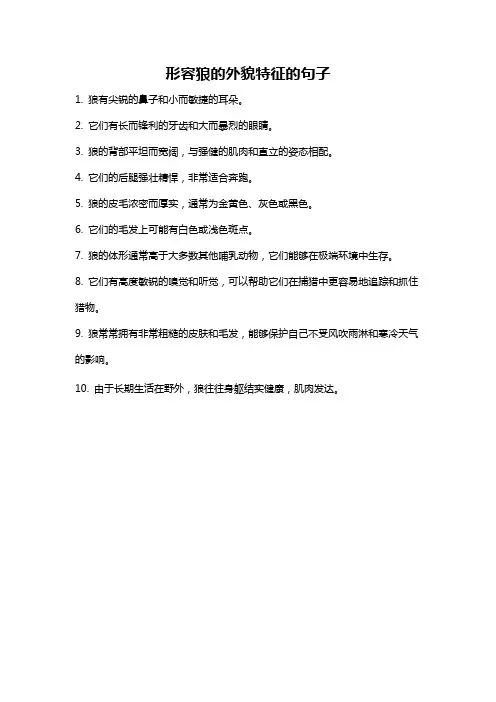 形容狼的外貌特征的句子