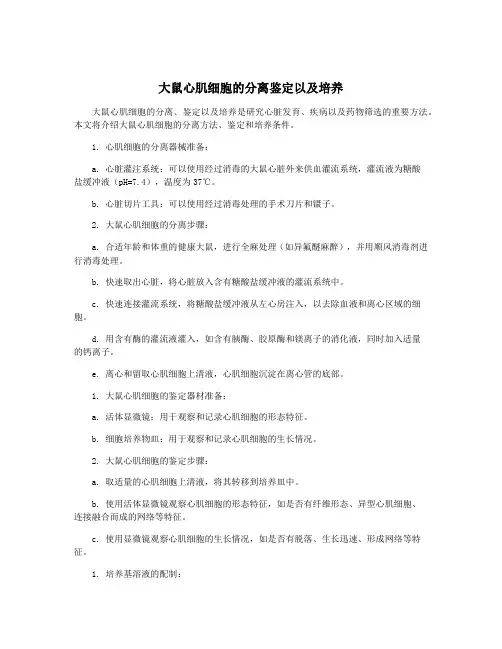 大鼠心肌细胞的分离鉴定以及培养